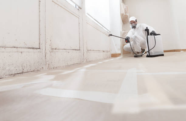 24/7 Emergency Black Mold Removal experts in Clinton, MD