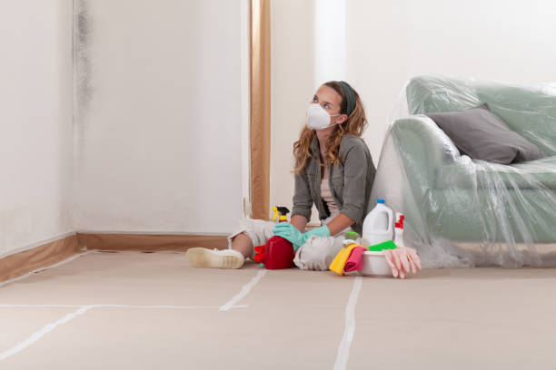 Reliable Black Mold Removal contractor in Clinton, MD by WQB Mold Removal
