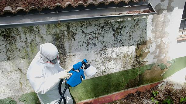 Top rated local Black Mold Removal specialists in Clinton, MD